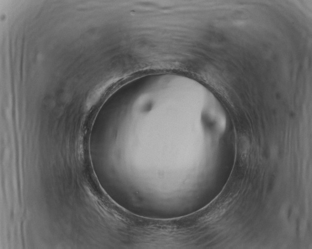 X0000062870676200601201755