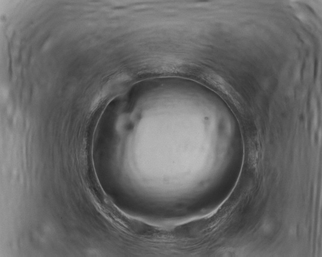 X0000062870677200601201755