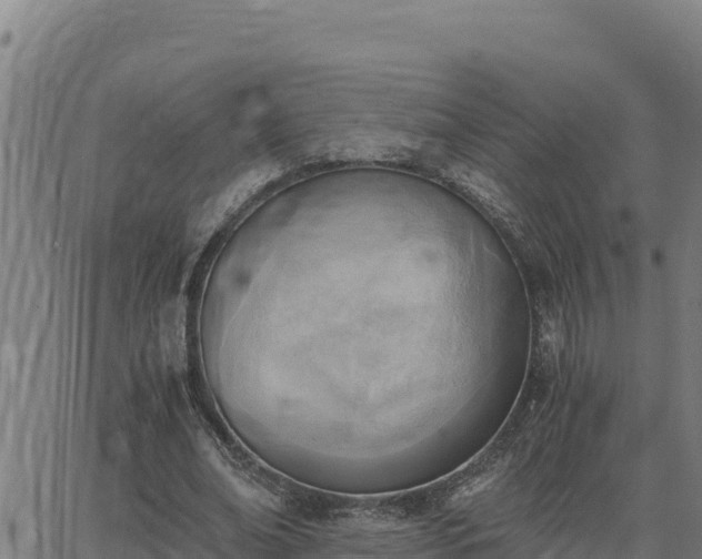 X0000062870678200601201755