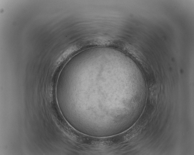 X0000062870679200601201755