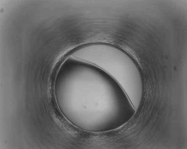 X0000062870680200601201755