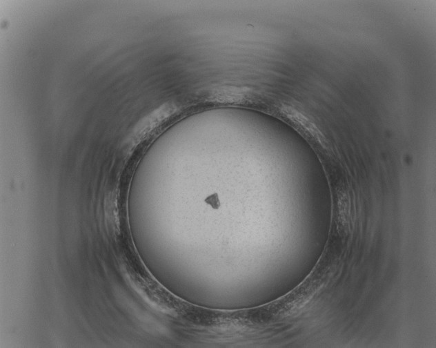 X0000062870682200601201755