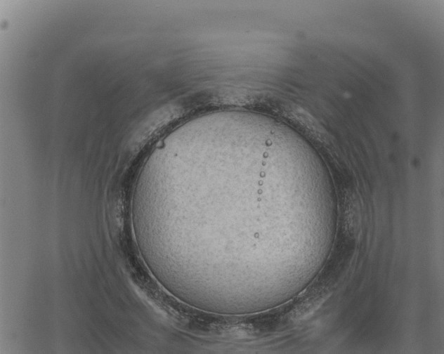 X0000062870683200601201755