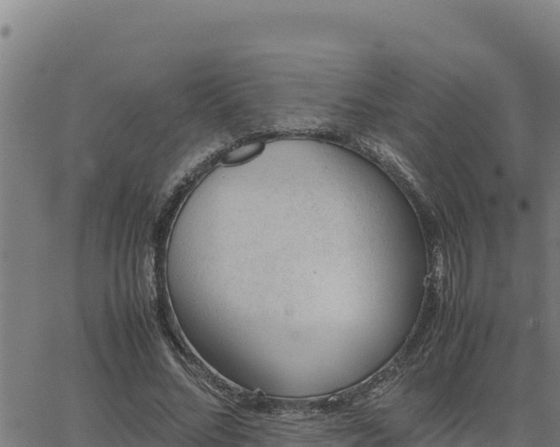 X0000062870684200601201755