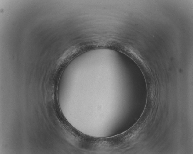 X0000062870685200601201755