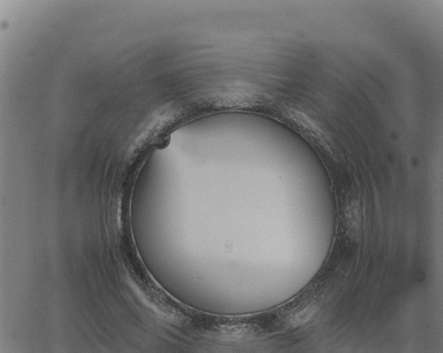 X0000062870686200601201755