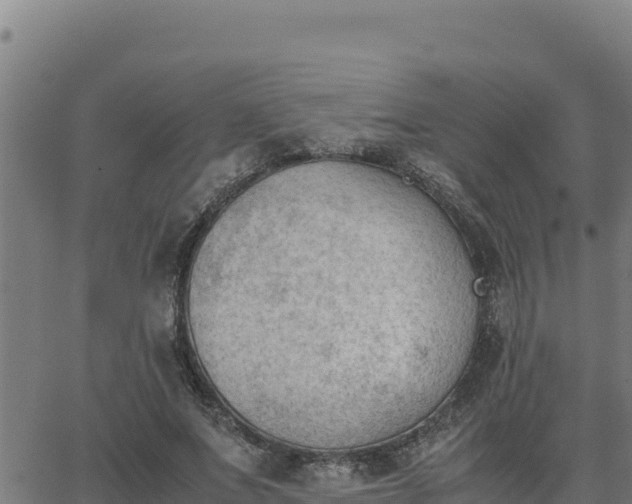 X0000062870687200601201755