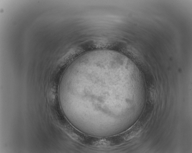 X0000062870691200601201755