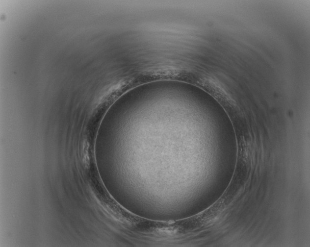 X0000062870692200601201755