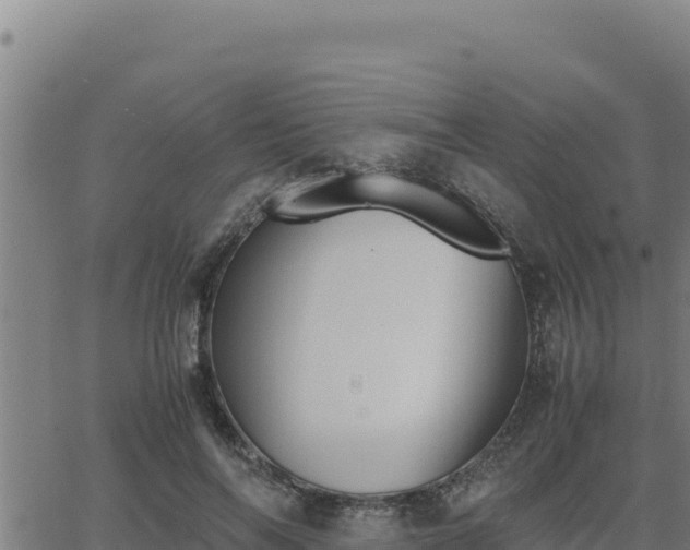 X0000062870694200601201754