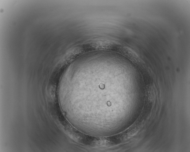 X0000062870695200601201754