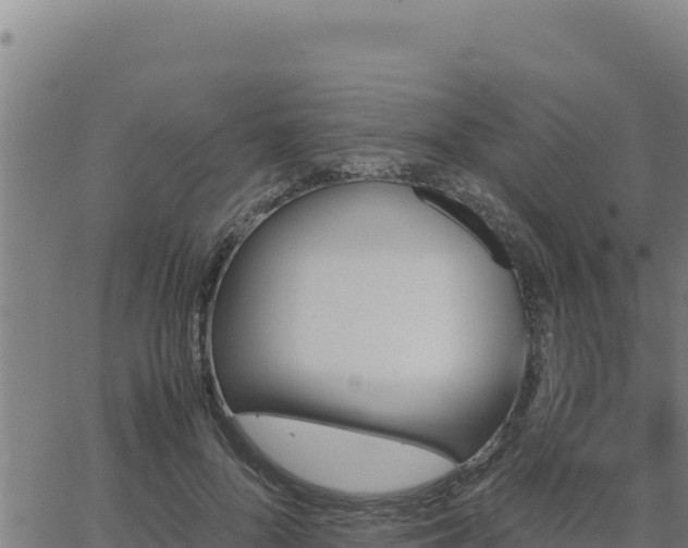 X0000062870696200601201754