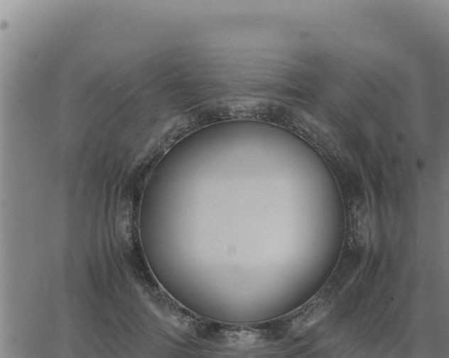 X0000062870698200601201754