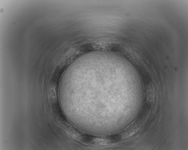 X0000062870699200601201754