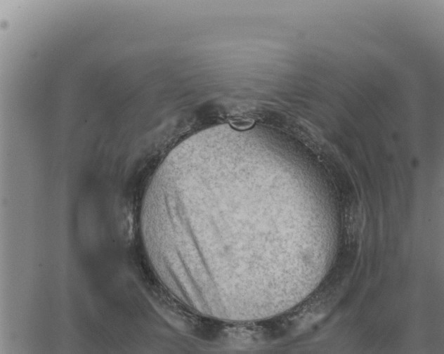 X0000062870703200601201754