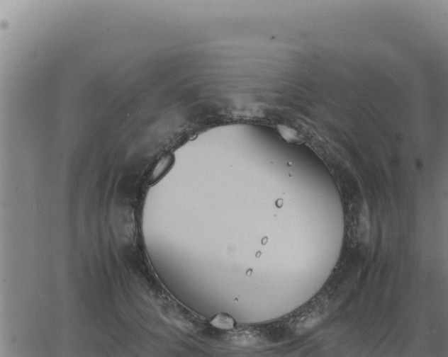 X0000062870704200601201754