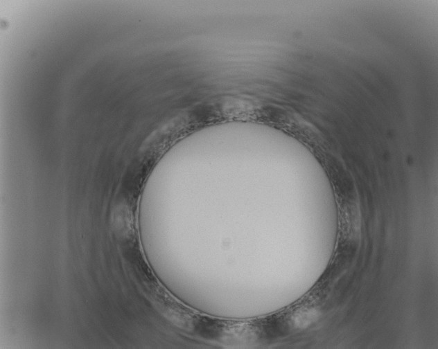 X0000062870705200601201754