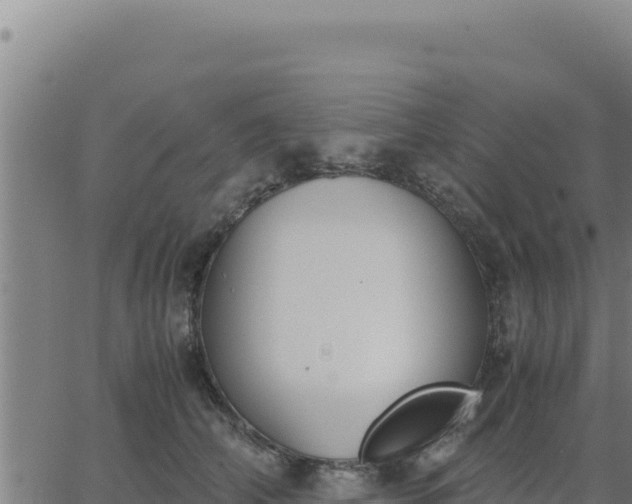 X0000062870706200601201754