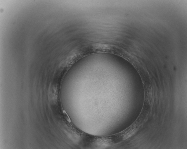 X0000062870708200601201754