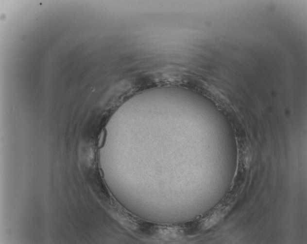 X0000062870709200601201754