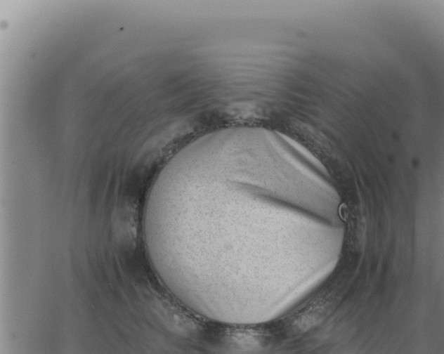 X0000062870710200601201754