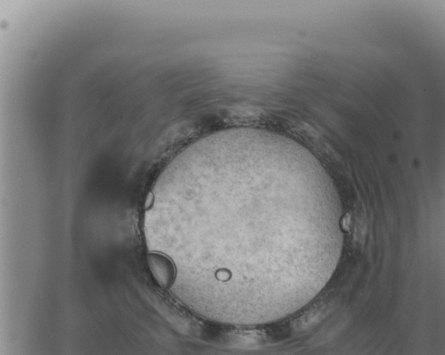 X0000062870711200601201754