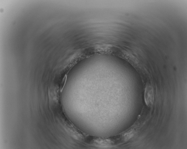 X0000062870712200601201754