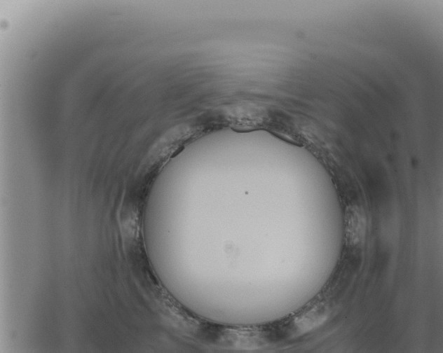 X0000062870713200601201754