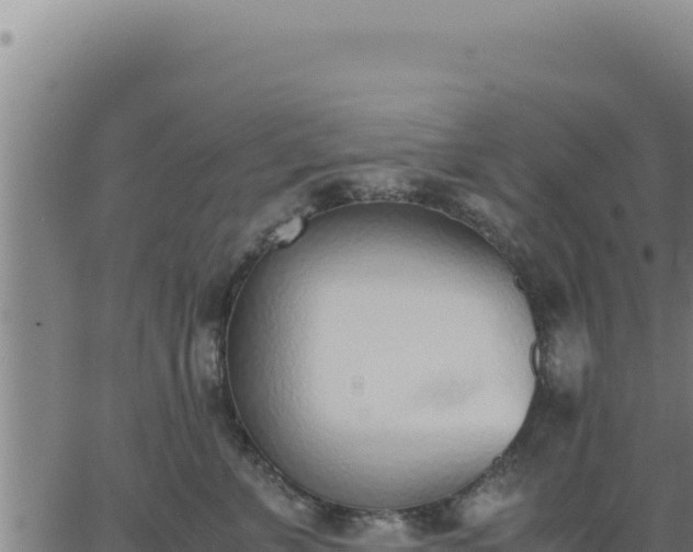 X0000062870715200601201754