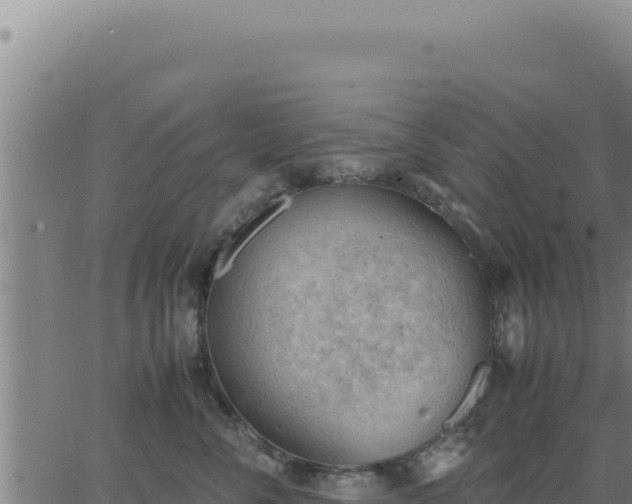 X0000062870716200601201754