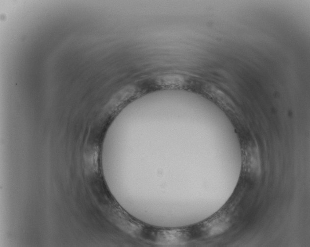 X0000062870717200601201754