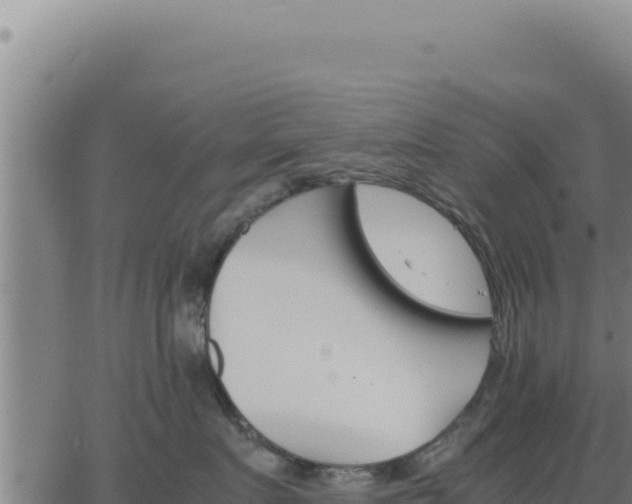 X0000062870719200601201754