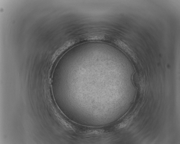 X0000062870721200601201753