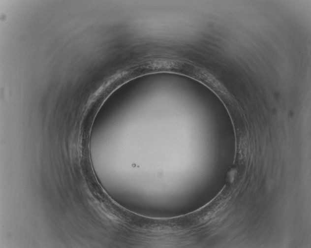 X0000062870722200601201753