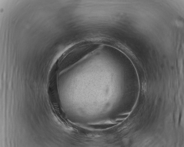 X0000062870724200601201753