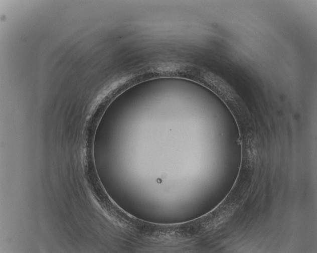 X0000062870728200601201753