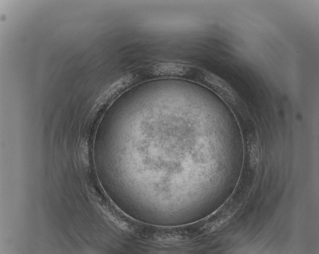 X0000062870729200601201753