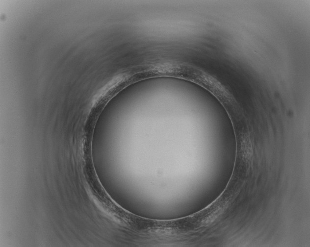 X0000062870730200601201753