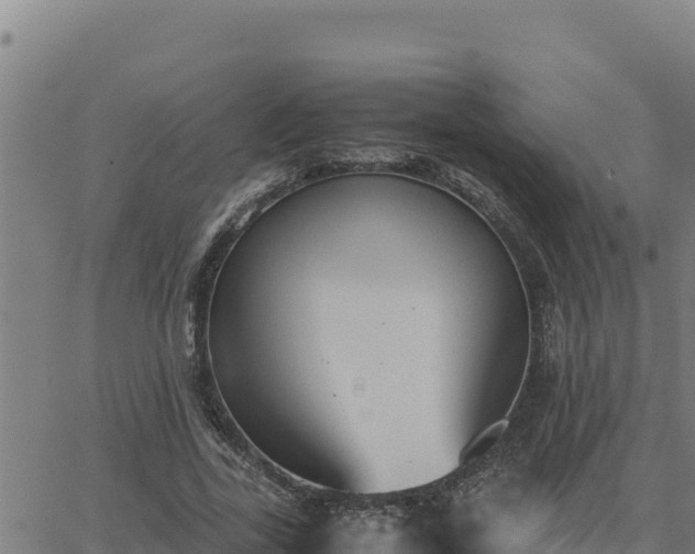 X0000062870731200601201753