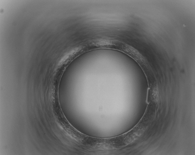 X0000062870732200601201753