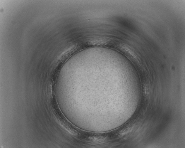 X0000062870733200601201753