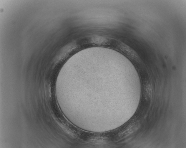 X0000062870734200601201753