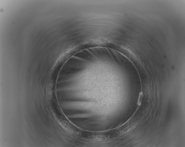 X0000062870736200601201753