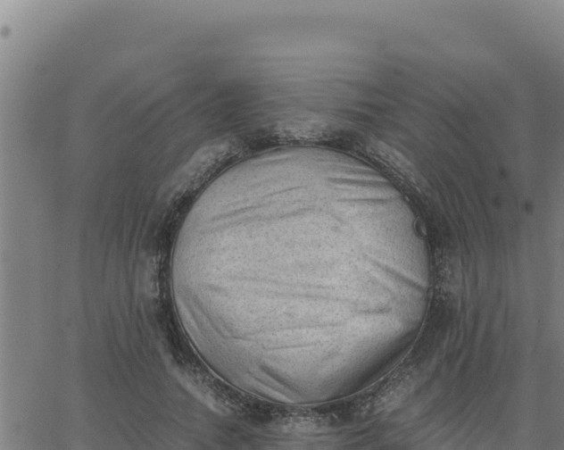 X0000062870738200601201754