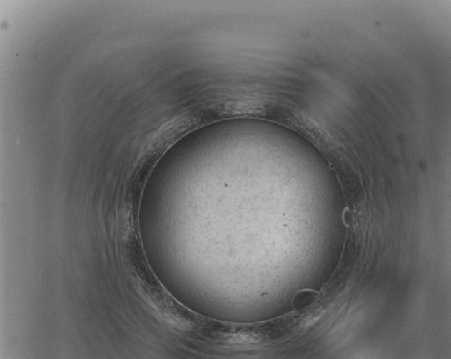 X0000062870741200601201754