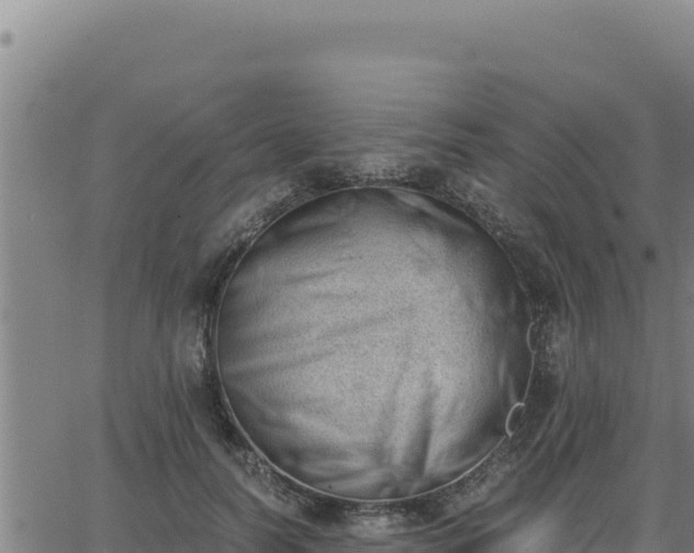 X0000062870746200601201754