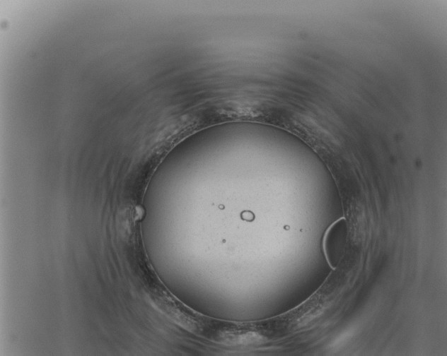 X0000062870747200601201754