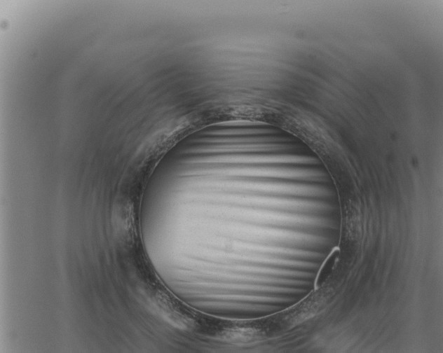 X0000062870748200601201754