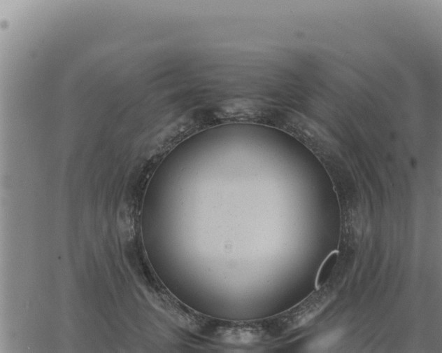 X0000062870751200601201754