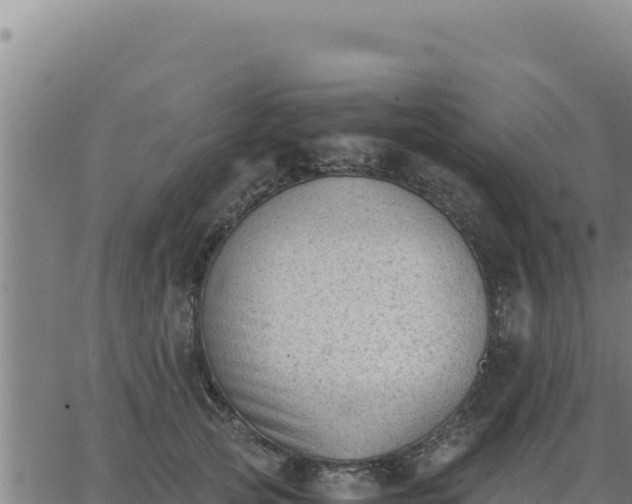 X0000062870753200601201754